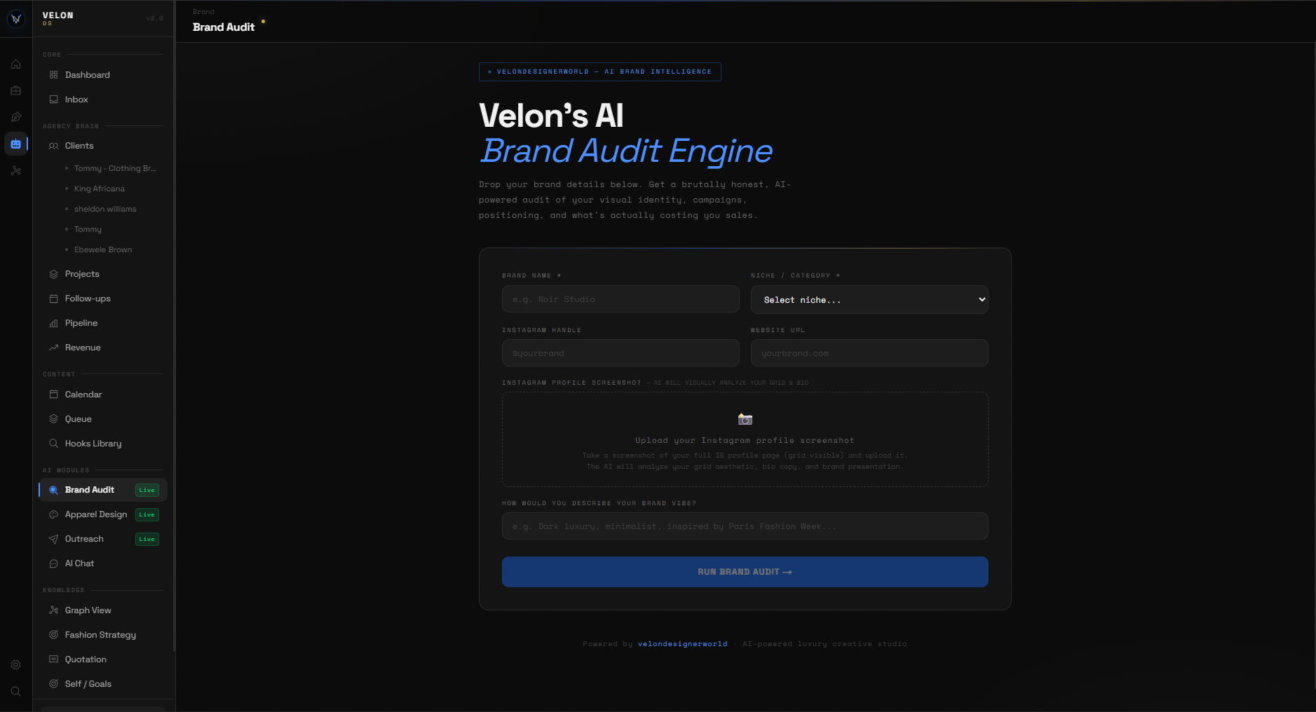 Brand Audit — input form