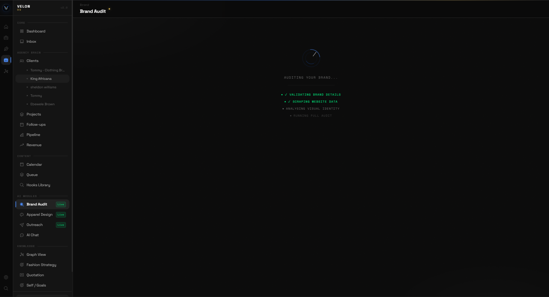 Brand Audit — processing