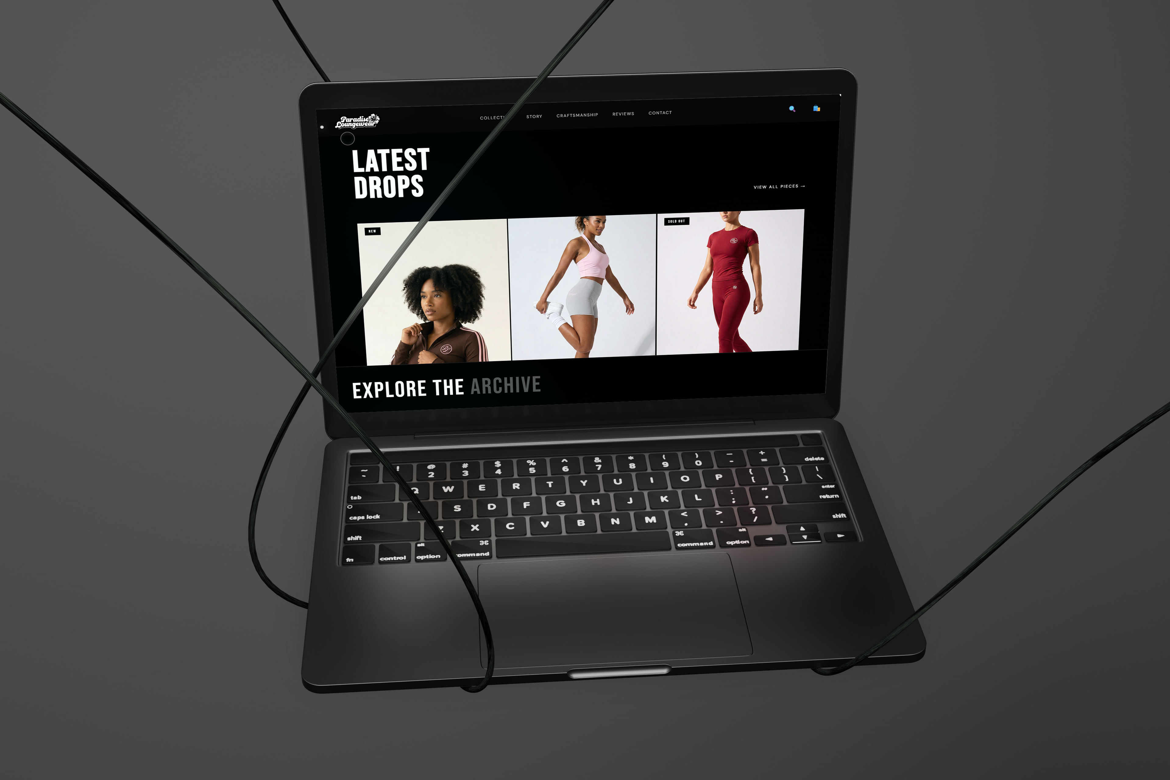 Paradise Website 2